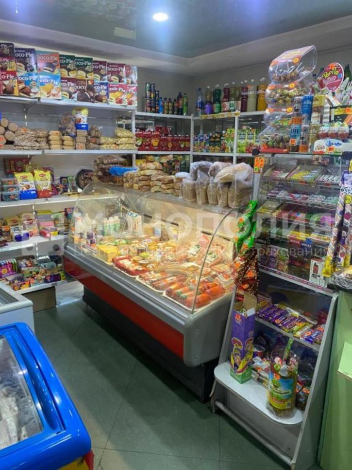 Торговое помещение Ленина, 95