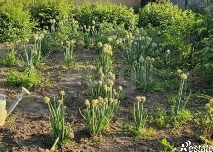 3-комн квартира Ивановский муниципальный округ, село Богородское, Новая улица, 58