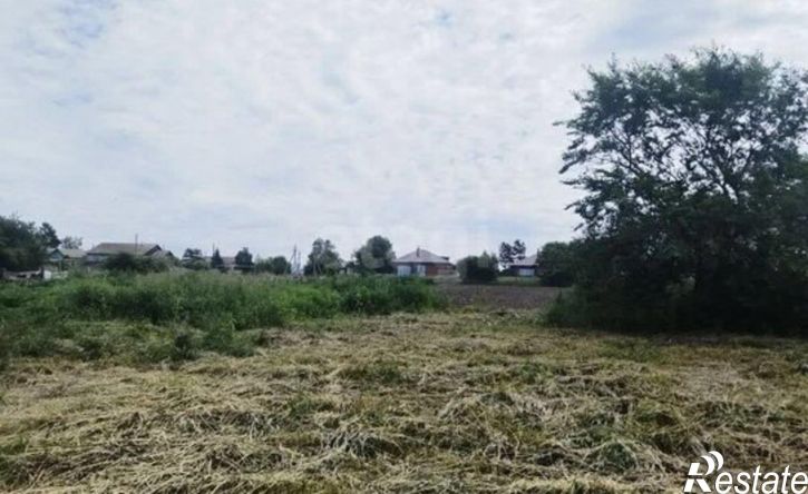 3-комн квартира Михайловский муниципальный округ, село Дим, Юбилейная улица, 1